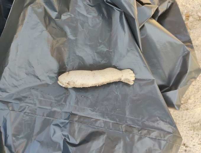 Mais que fait donc ici cette jambe de poupée ?