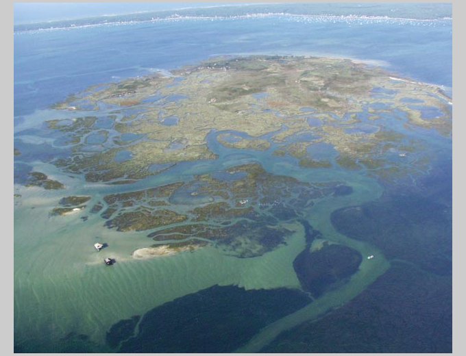 Ile aux oiseaux